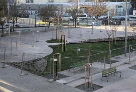 renaturalización patios