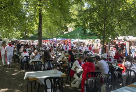 casas_regionales_bosquecillo_sf25_cnb_8120.jpg