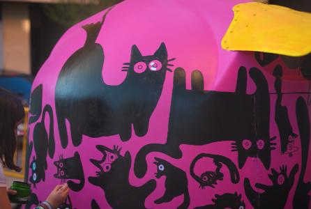 iglus gatos