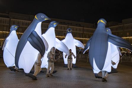 Pingüinos