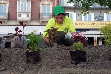 recuperación jardines