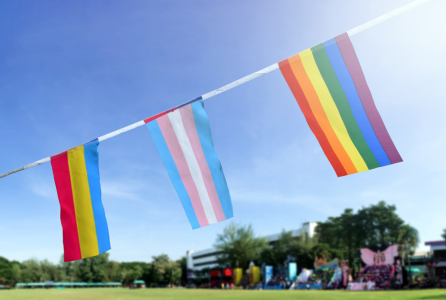 subvenciones_lgtbi_web.png