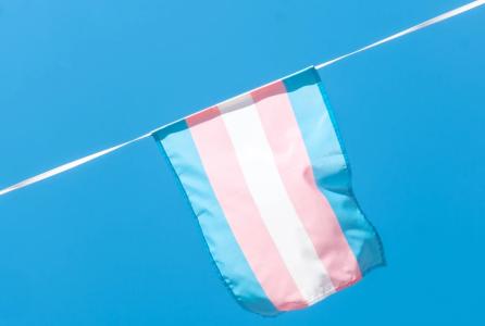octubre_trans_web.jpg