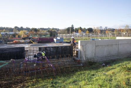 obras magdalena