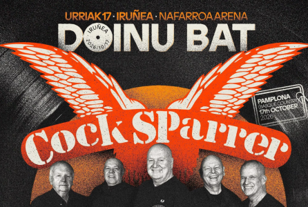 Festival - Doinu bat - Navarra Arena