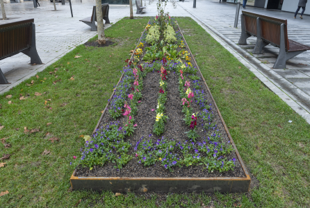 Parterres 