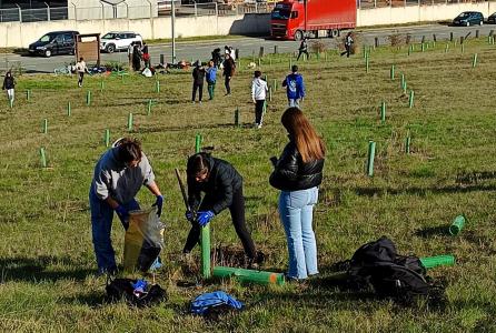 plantacion.jpg