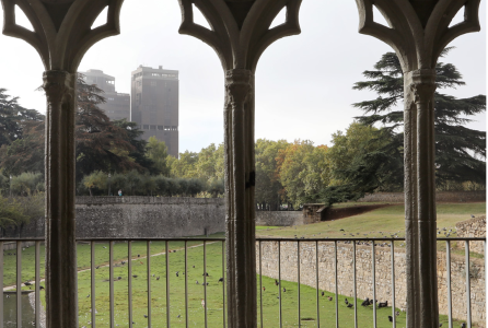 Parque de la Taconera