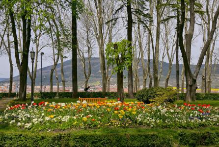 parque