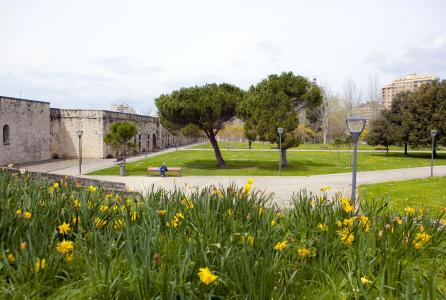 Ciudadela
