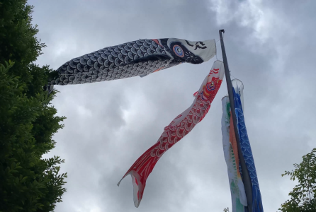 Japón web