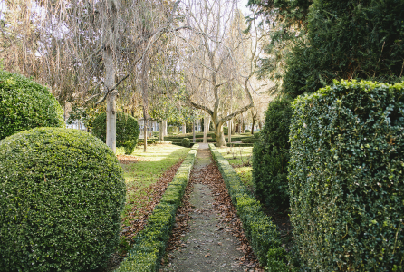 Encuentros de Arboricultura