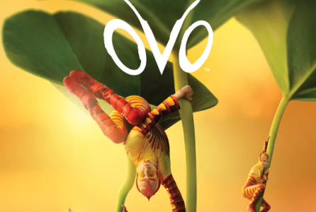 ovo.png
