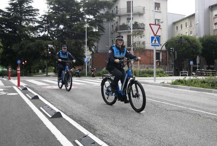 bicipolis