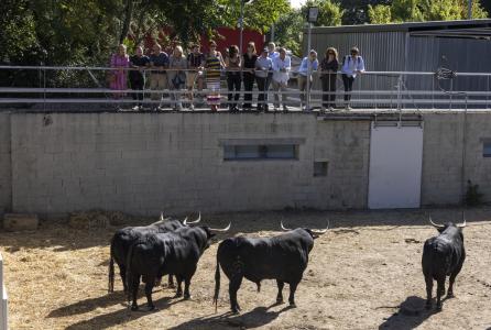 visita los Corrales del Gas