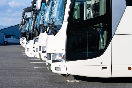 autobuses_web.png