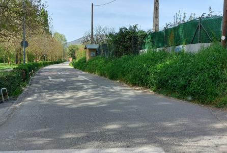 Camino de Caparroso