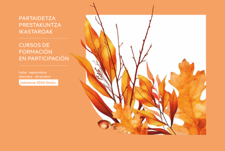 cursos de formación en participación ciudadana