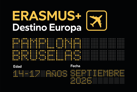 Erasmus plus