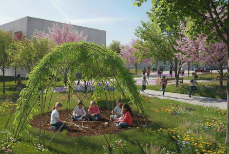 renaturalización de patios
