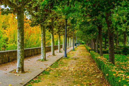 zona verde